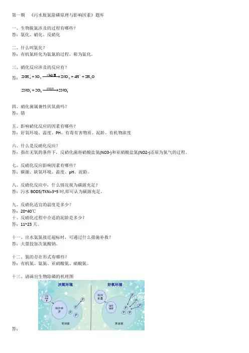 第一期《污水脱氮除磷原理与影响因素》考试题目