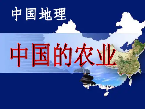 区域地理—中国地理中国的农业PPT课件