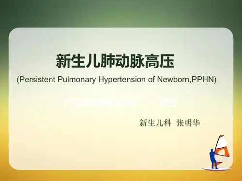PPHN课件
