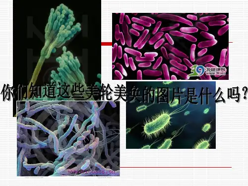微生物与人类健康