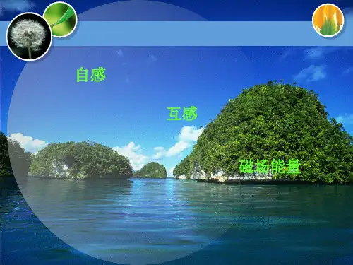 大学物理 12-4 自感和互感解读