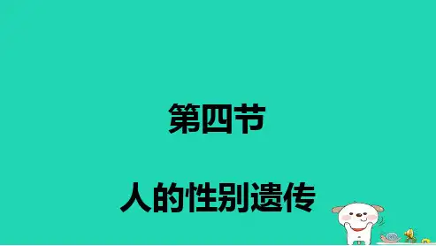 新人教版八年级生物下册人的性别遗传(1)ppt课件