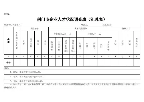 企业人才情况统计表