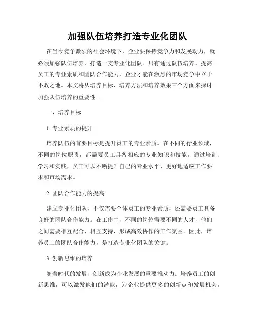 加强队伍培养打造专业化团队