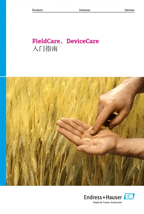Endress+Hauser FieldCare和DeviceCare入门指南说明书