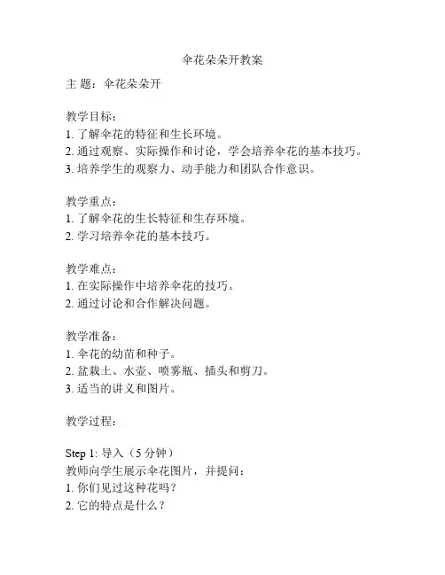 伞花朵朵开教案