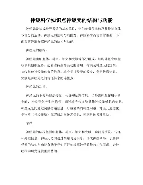 神经科学知识点神经元的结构与功能