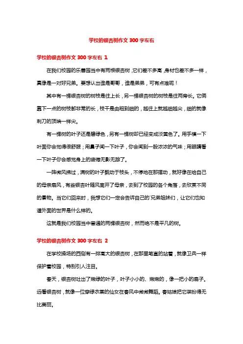 学校的银杏树作文300字左右