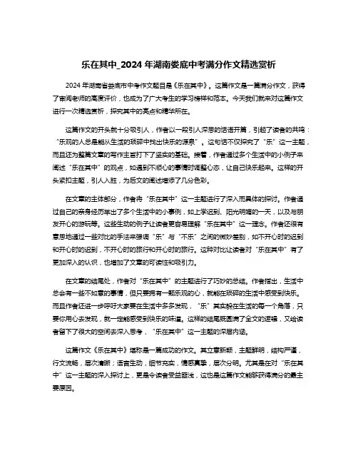 乐在其中_2024年湖南娄底中考满分作文精选赏析