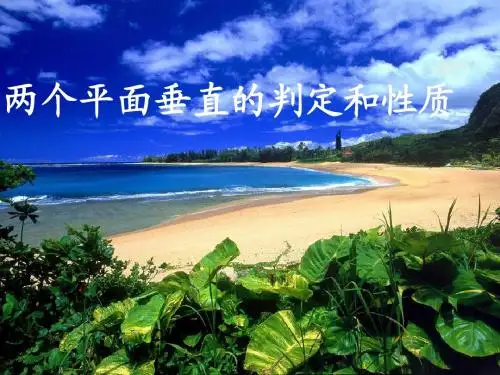 两个平面垂直的判定和性质