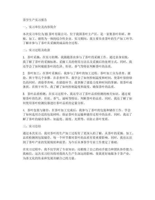茶学生产实习报告