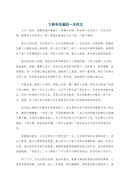 下着毛毛雨的一天作文