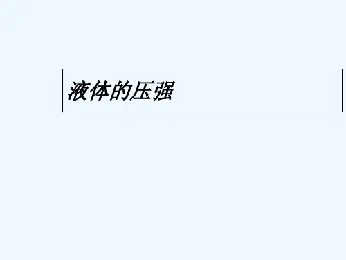人教版液体的压强(4)