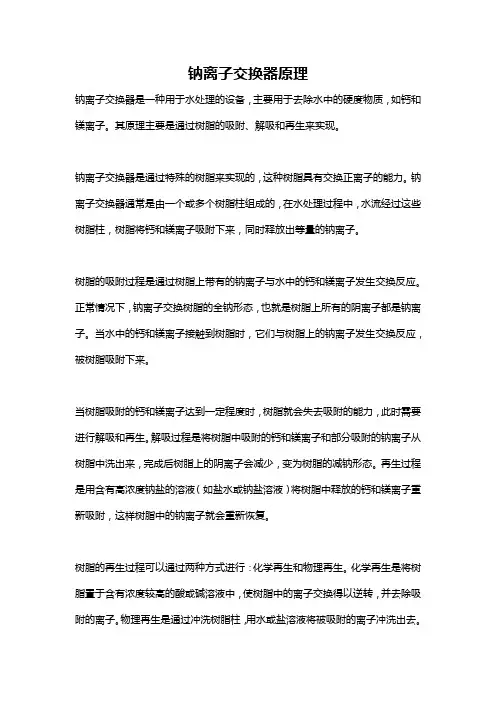 钠离子交换器原理