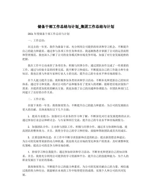 储备干部工作总结与计划_集团工作总结与计划