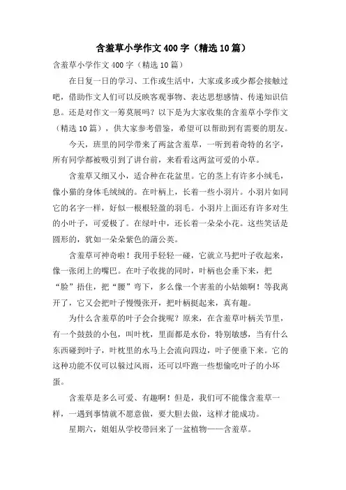 含羞草小学作文400字(10篇)