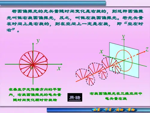 椭圆偏振光与圆偏振光