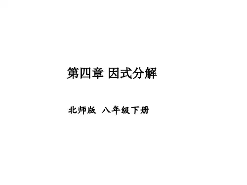 北师大版数学八年级下册第四章 因式分解 复习课件(共19张PPT)