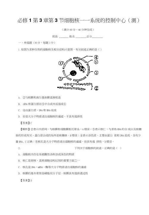 专题33细胞核-系统的控制中心(测)-高一生物同步精品课堂(基础版)(必修1)含答案.doc