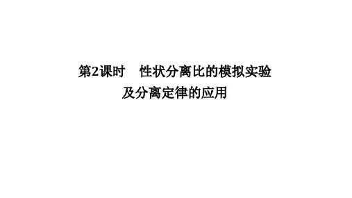 高中人教版2019生物必修第二册课件性状分离比的模拟实验及分离定律的应用