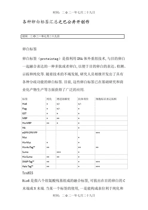 各种蛋白标签汇总