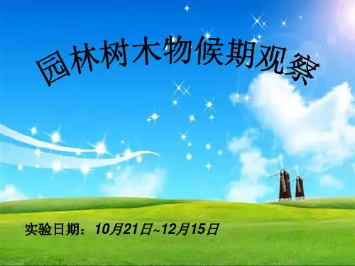 树木学物候期观察