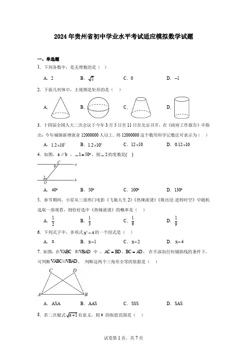 2024年贵州省初中学业水平考试适应模拟数学试题