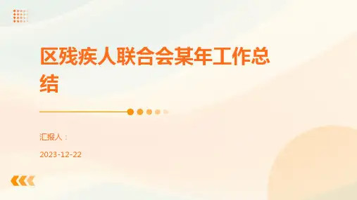 区残疾人联合会某年工作总结