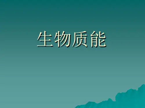 生物质能-PPT课件