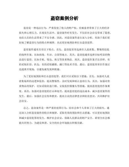 盗窃案例分析