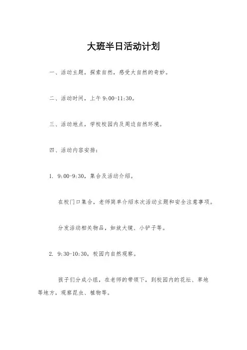 大班半日活动计划