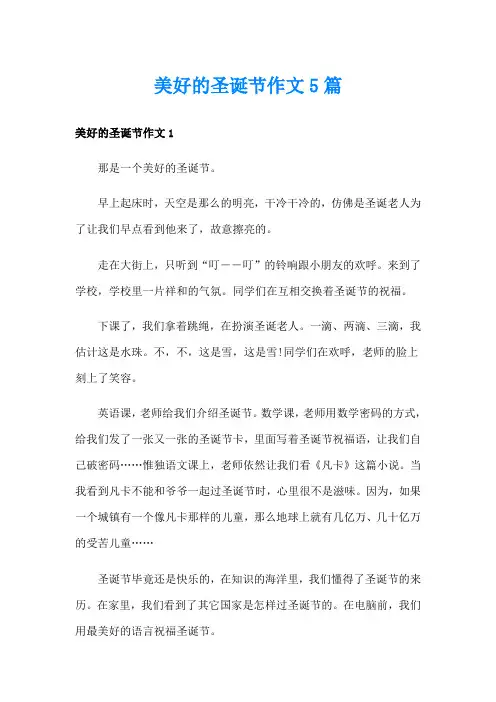 美好的圣诞节作文5篇