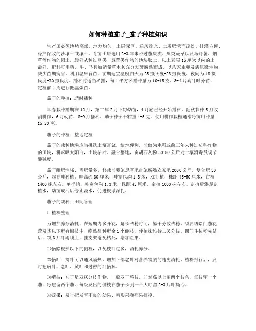 如何种植茄子_茄子种植知识