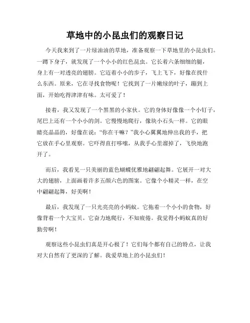 小学三年级作文草地中的小昆虫们的观察日记