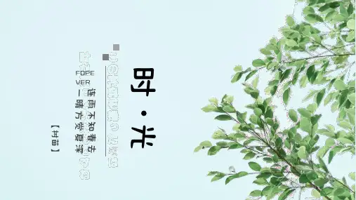 时光小清新绿叶时光印记通用模板