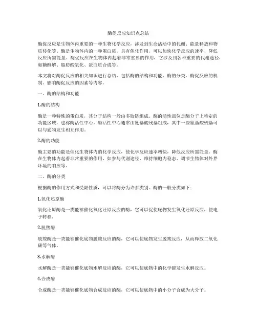 酶促反应知识点总结