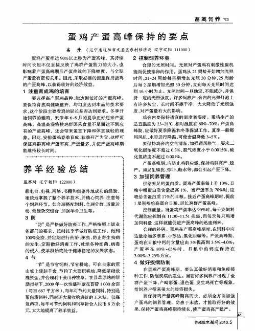 蛋鸡产蛋高峰保持的要点
