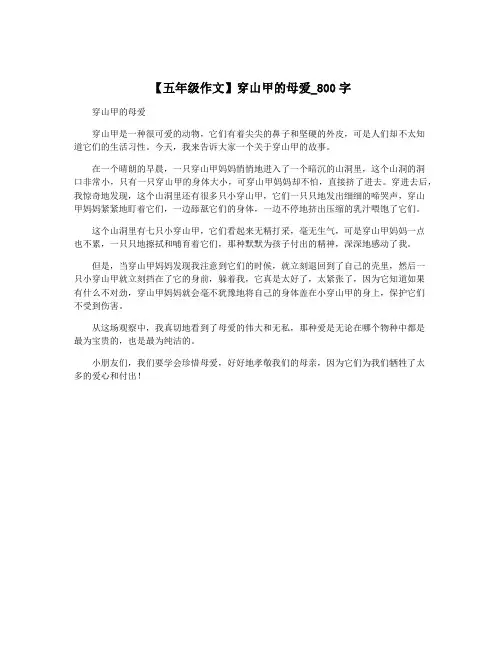【五年级作文】穿山甲的母爱_800字