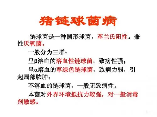 猪链球菌病
