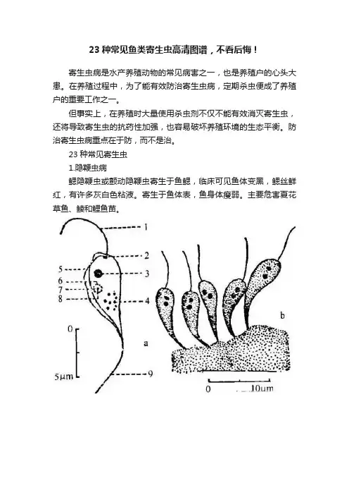 23种常见鱼类寄生虫高清图谱，不看后悔！