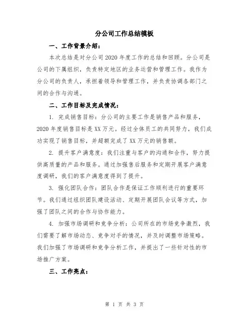 分公司工作总结模板
