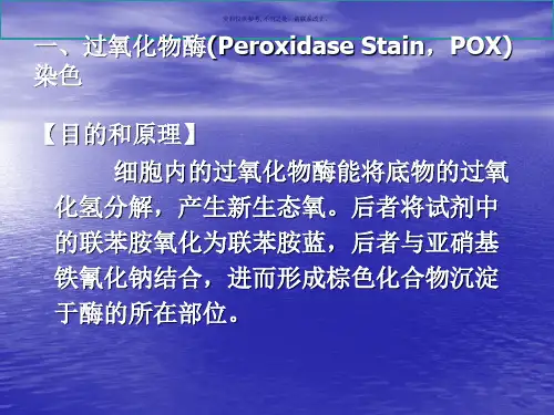 细胞化学染色实验