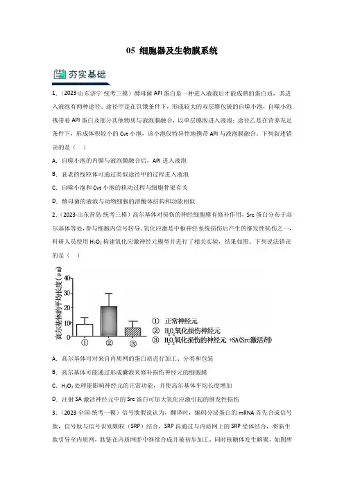 人教版2024年高考化学一轮复习《分层训练05 细胞器及生物膜系统》