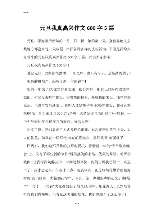 元旦我真高兴作文600字5篇