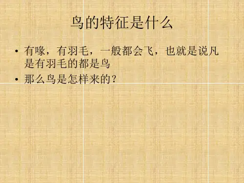 《恐龙在我们头上飞》课件