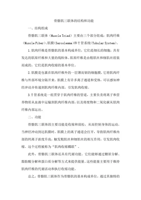 骨骼肌三联体的结构和功能
