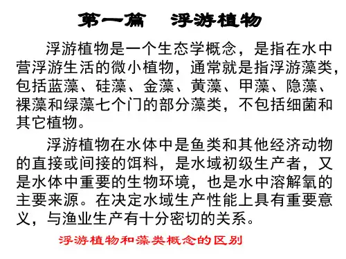 1藻类概述07