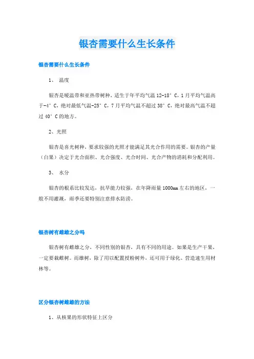 银杏需要什么生长条件
