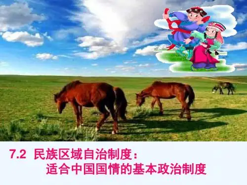 民族区域自治制度适合我国国情的好制度