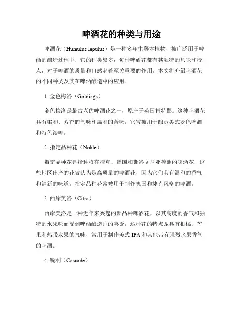 啤酒花的种类与用途